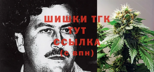 мет Арсеньев
