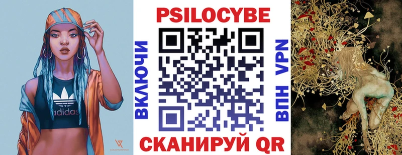 Псилоцибиновые грибы Cubensis  где можно купить   Новодвинск 